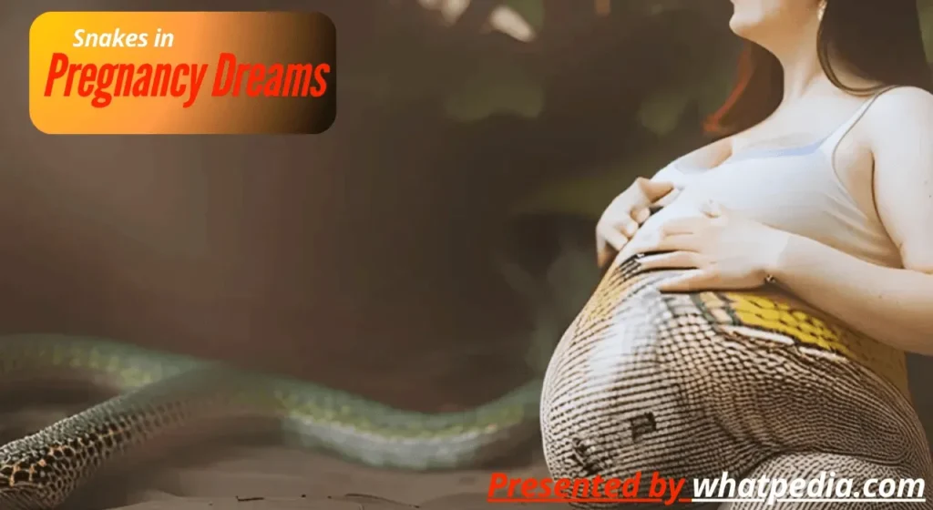 Biblical Interpretation of Snakes in Pregnancy Dreams_ Expert Insights