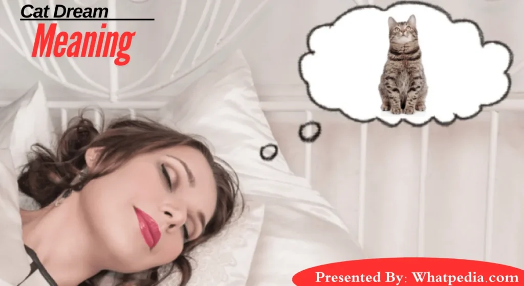 Cat Dream Meaning