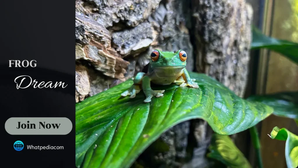 A frog on the leaf