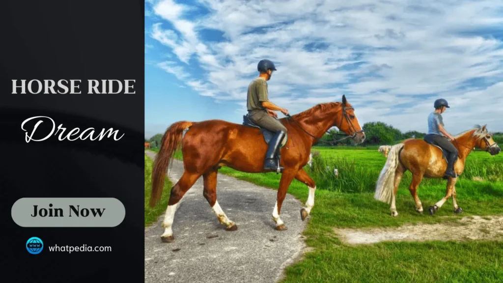 A man Riding brown horse 