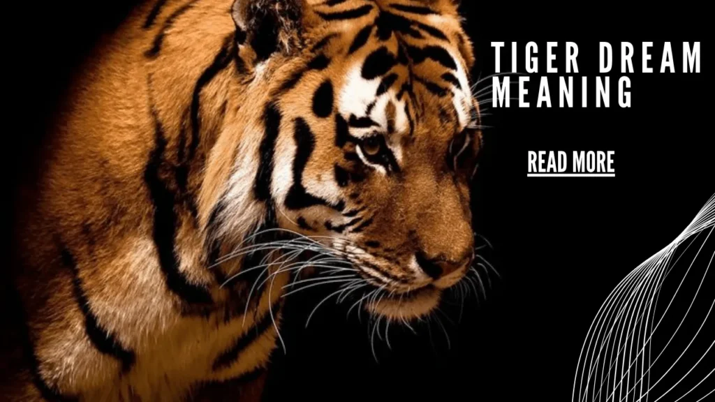 Tiger Dream Meaning