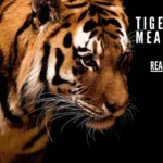 Tiger Dream Meaning