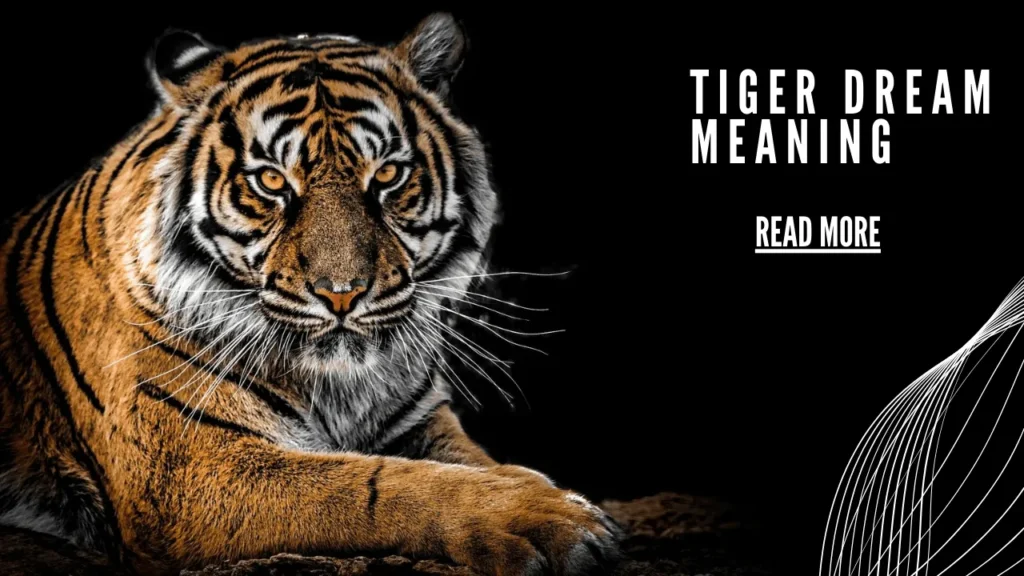 Tiger Dream Meaning